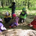 Waldspielgruppe Pinocchio Aarau